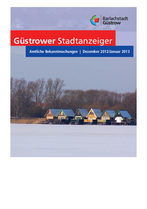 Ausgabe Dezember 2012/Januar 2013 (3,1 MB)